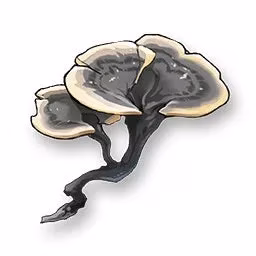 lingyang-guide-mastering-the-5-star-glacio-gauntlet-user-in-wuthering-waves-image-2